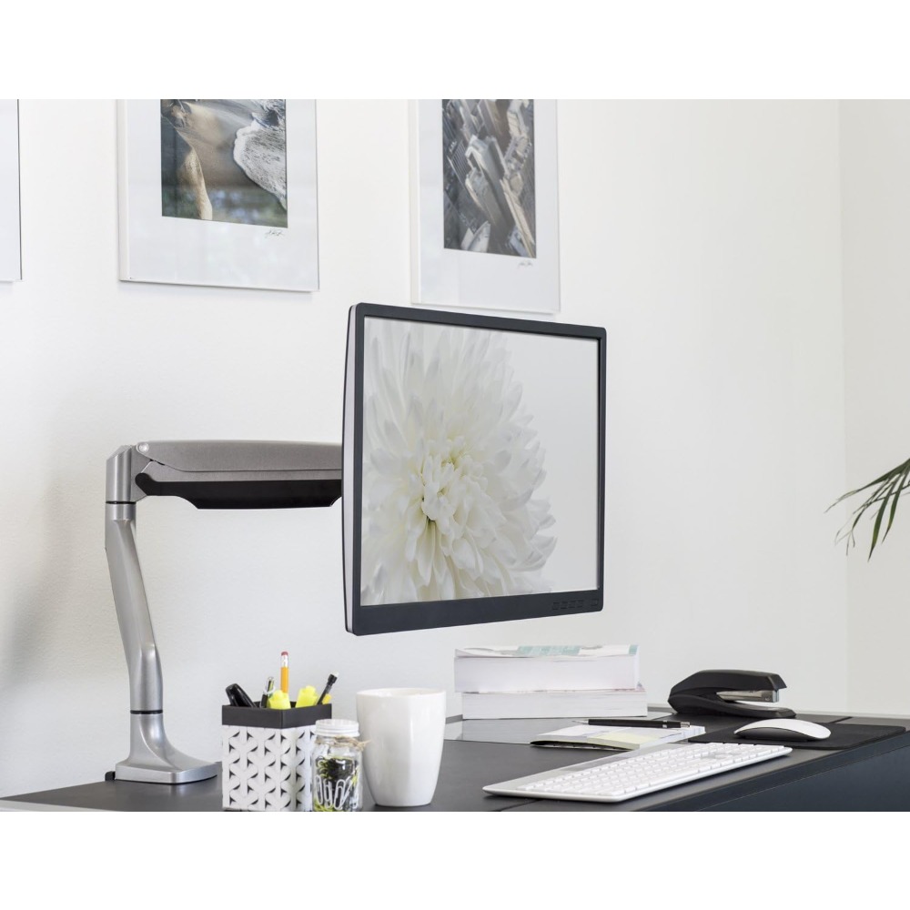 Gas Spring Single Monitor Arm  - Monitor Arm Single review and price